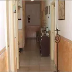 מלון Nena מונליה